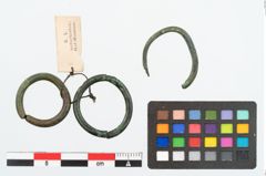 Foto von Bronzering (NHMW-PRAE-026053)